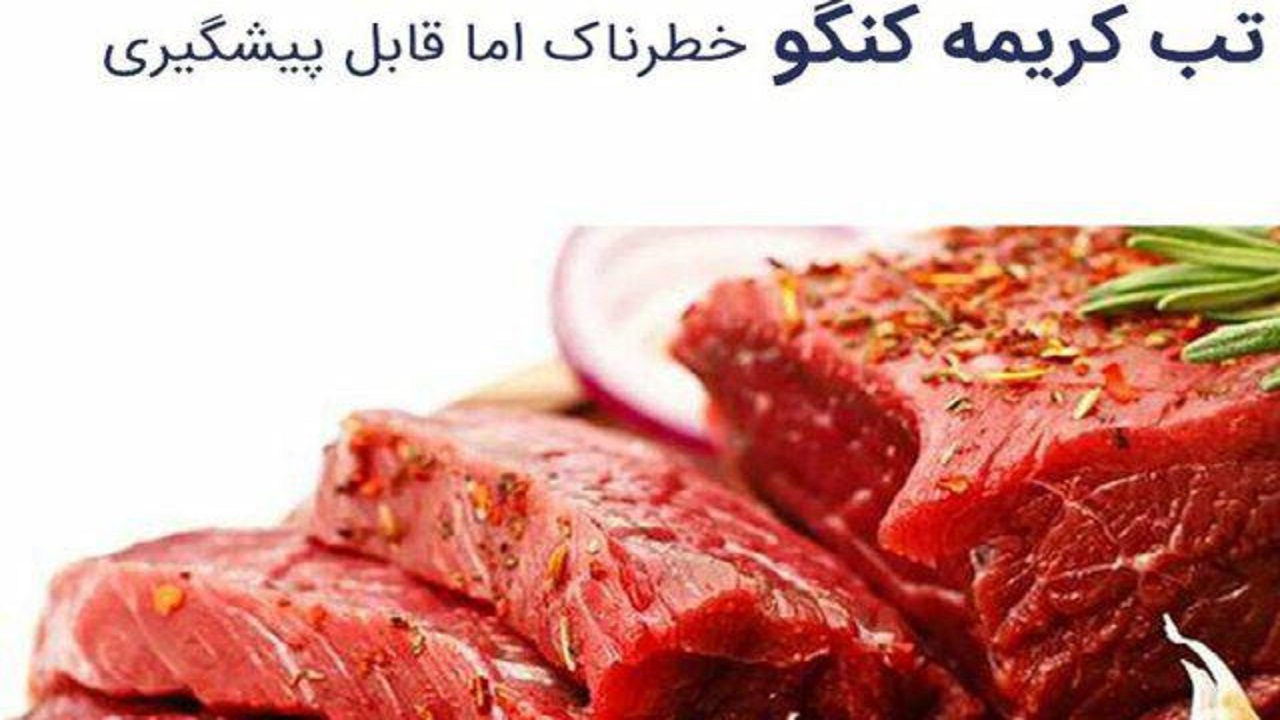 تب کریمه کنگو در کمین شهروندان / نگهداری ۲۴ ساعته گوشت در سردخانه الزامی است