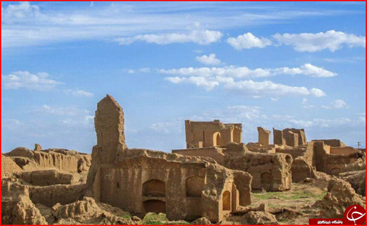 آتش زدن شاخ و برگ نخل&zwnj;ها با کدام توجیه؟ / گشت و گذار پلنگ ایرانی در جنگل&zwnj;های مازندران + فیلم/ محور هراز امشب مسدود می&zwnj;شود