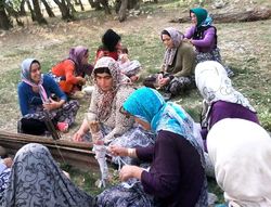 پلاس بافی احیا و رونق هنر منسوخ شده پلاس بافی در زنجان