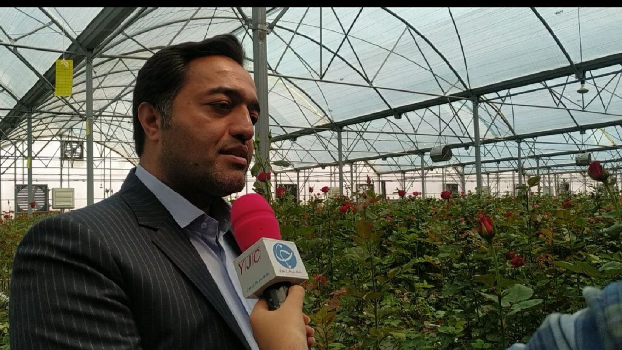 ۳۰ هکتار گلخانه‌ی مجهز به کشت هیدروپونیک در مشهد