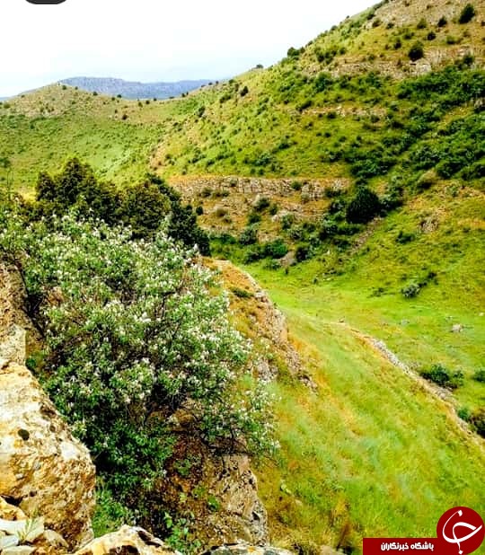 تصاویری از طبیعت بکر و زیبای ارتفاعات پارک ملی تندوره درگز