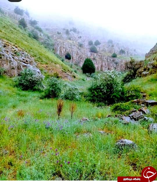 تصاویری از طبیعت بکر و زیبای ارتفاعات پارک ملی تندوره درگز