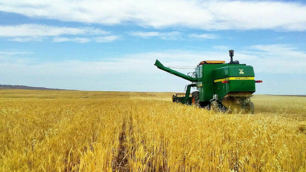 برداشت محصول جو در تربت جام آغاز شد