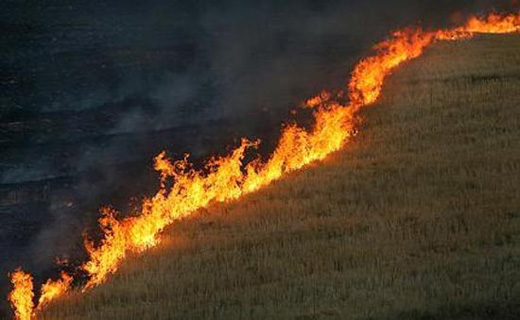 ممنوعیت آتش زدن بقایای گیاهی پس از برداشت محصول در مانه وسملقان