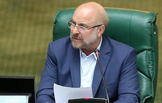 قالیباف خطاب به تاجگردون: شما باید به رأی مجلس احترام بگذارید