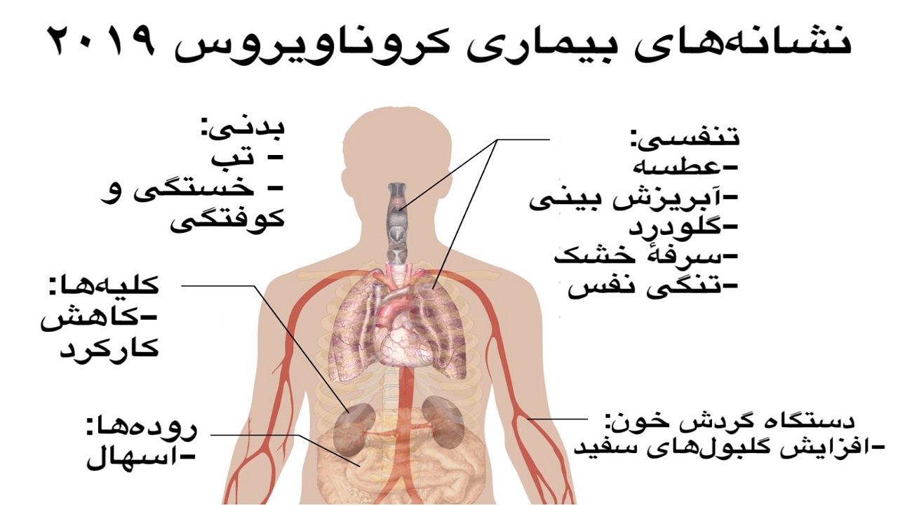 تنها ۱۸ درصد موارد ابتلا به کرونا با بروز علایم همراه است