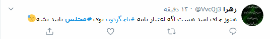 بلاتکلیفی اعتبارنامه تاجگردون در مجلس همچنان سوژه داغ کاربران توئیتری ایرانی است