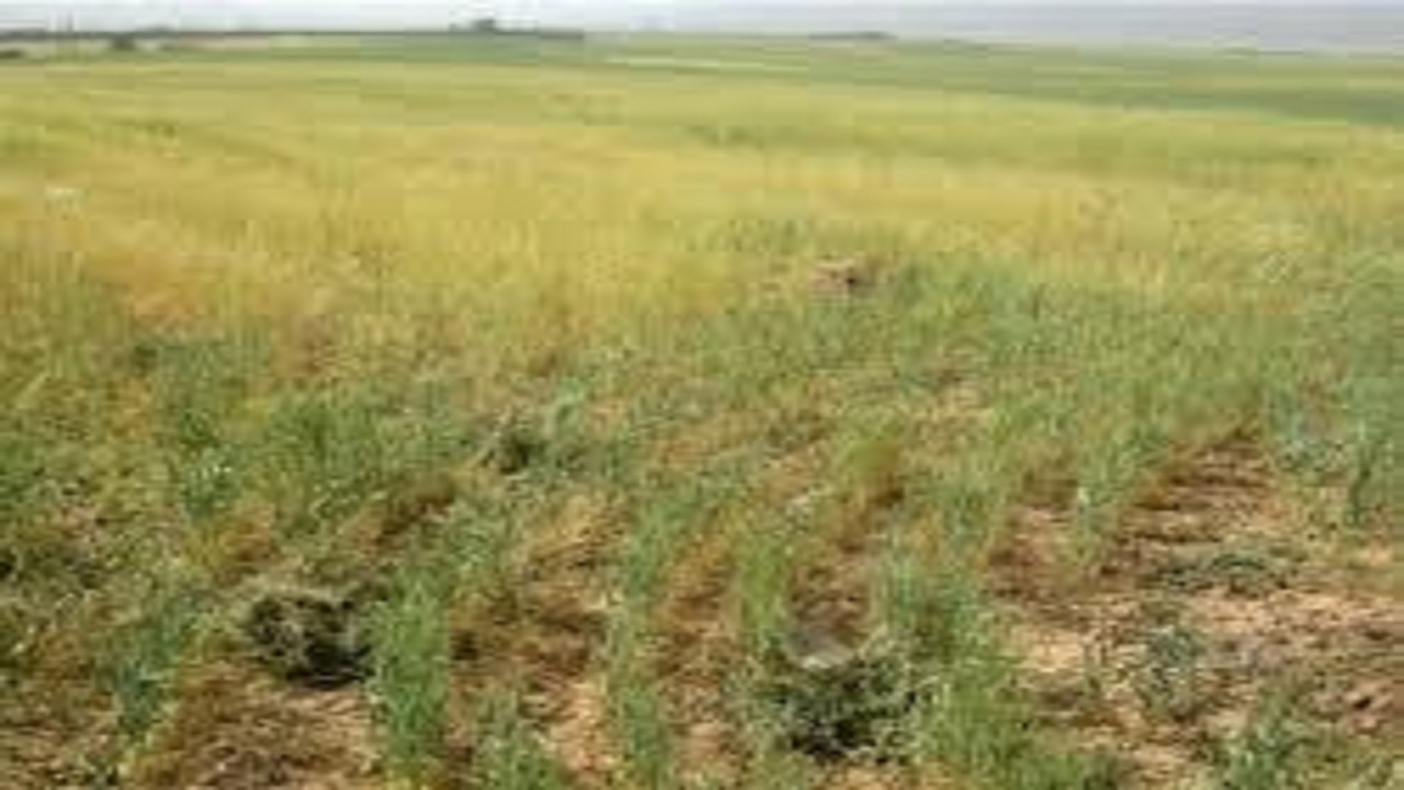 سند دار شدن ۱۹۴ هزار و ۷۰۰ هکتار از اراضی منابع طبیعی استان اصفهان