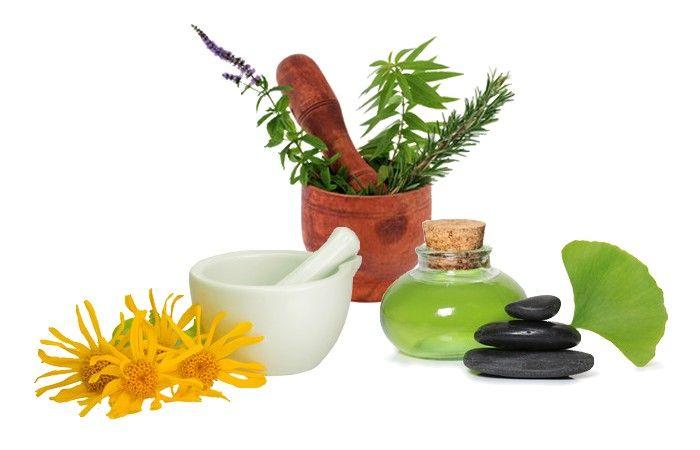 فروشگاه اینترنتی گیاهان دارویی؛ چطور میتوان اعتماد کرد؟ فروشگاه اینترنتی گیاهان دارویی؛ چطور میتوان اعتماد کرد؟