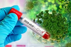 ۱۵نفر به تعداد بیماران کرونا ویروس در زنجان افزوده شد