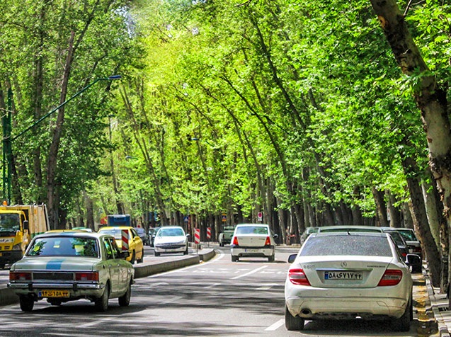 ضرورت ثبت جهانی خیابان ولیعصر (عج)