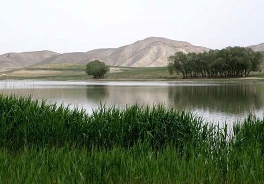 پاکسازی تالاب بین المللی قوریگل