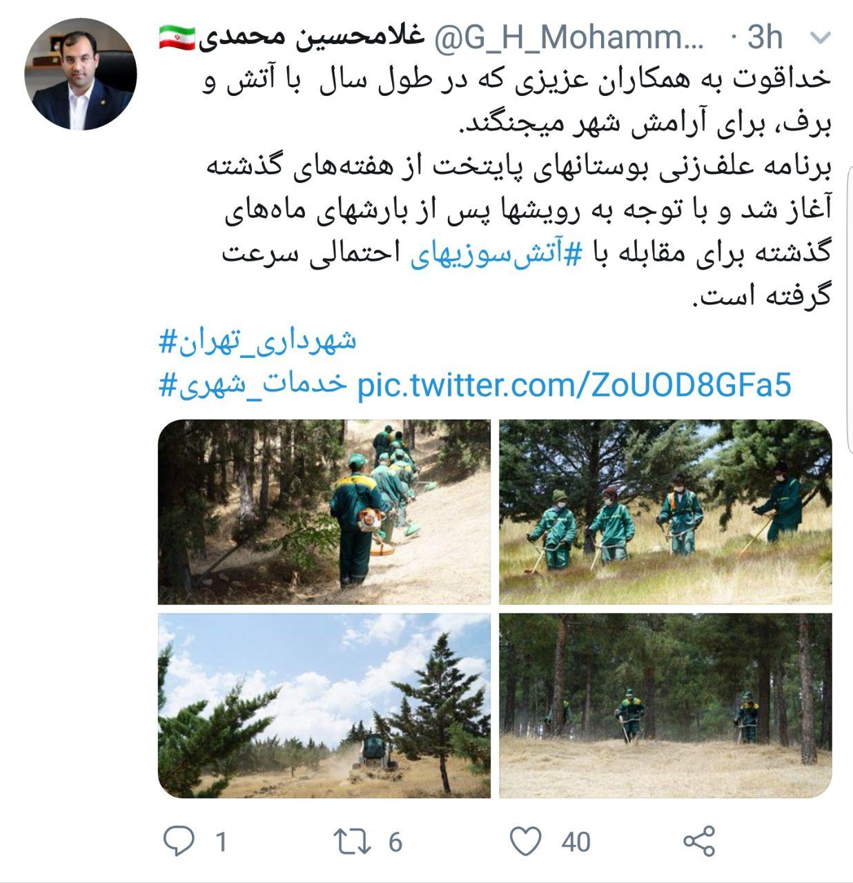 نوش دارو بعد مرگ سهراب؛ علف زنی بعد آتش سوزی