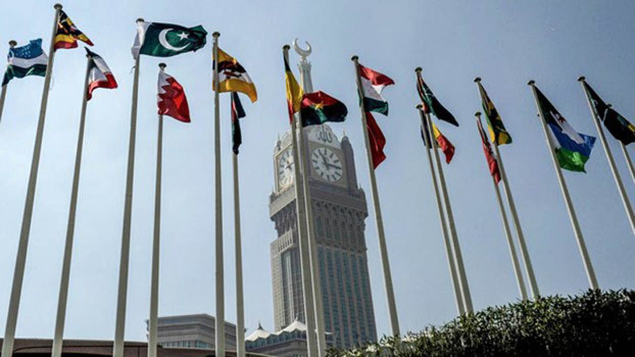 سازمان همکاری اسلامی: طرح الحاق اسرائیل، تنش‌ها را تشدید می‌کند