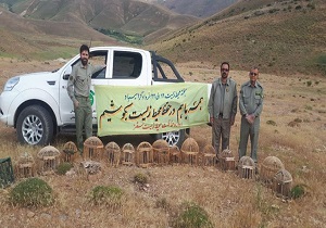 رهاسازی ۱۶ قطعه کبک در سقز