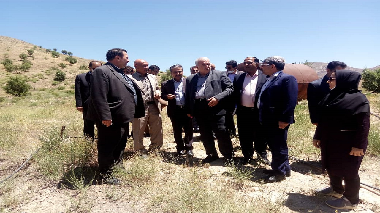 سهم ۸میلیون تنی خراسان رضوی از تولیدات کشاورزی