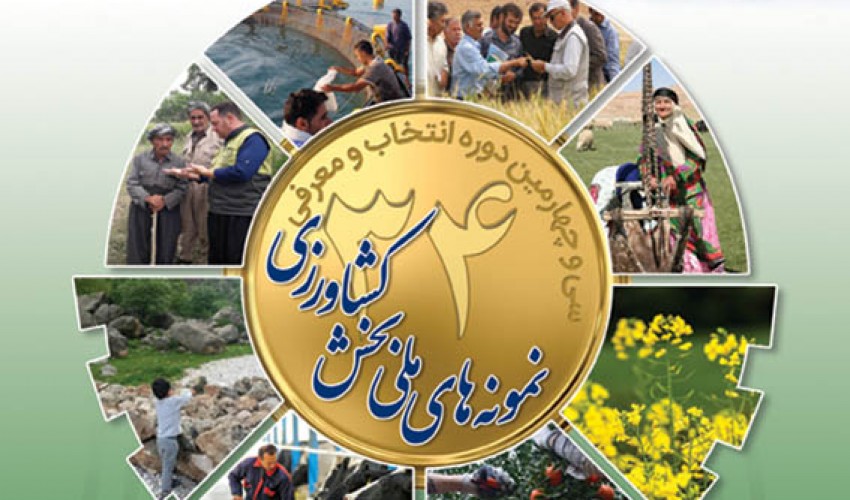 ۴ بهره بردار استان همدان برترین&zwnj;های کشوری شدند