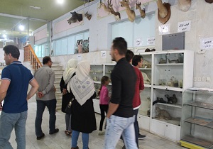 موزه‌های لرستان بازگشایی شد