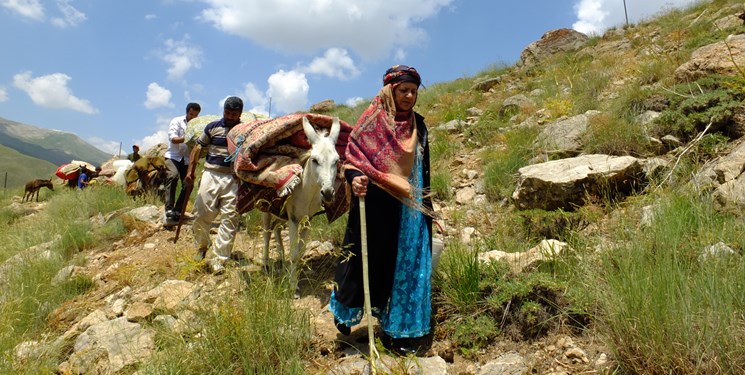 آغاز کوچ بهاره عشایر استان زنجان به سمت مناطق ییلاقی
