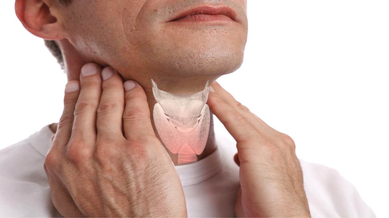 اختلالات تیروئید و مواد غذایی مفید برای آن