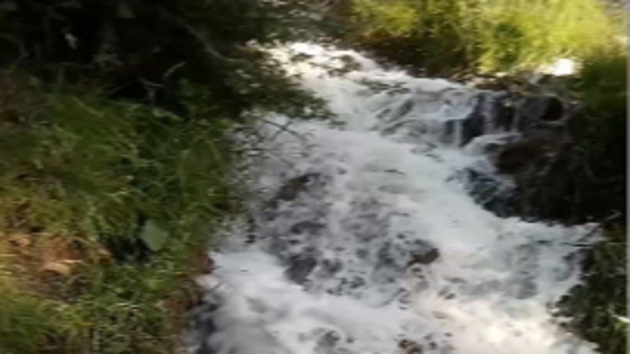 رودخانه لرگان در بخش کجور نوشهر + فیلم