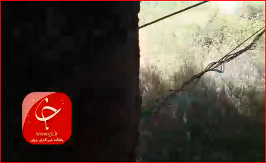 بازار طلا سکه نیست/ ثبت گردوی تویسرکان در سازمان مالکیت فکری جهانی/متلاشی شدن باند بزرگ شیطان پرستی در مازندران