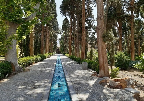 معمای قطع درختان باغ فین کاشان چیست