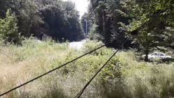برق مازندران
