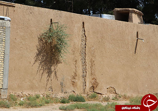 چرا درِ مسجد جامع کبیر نی ریز بسته است؟