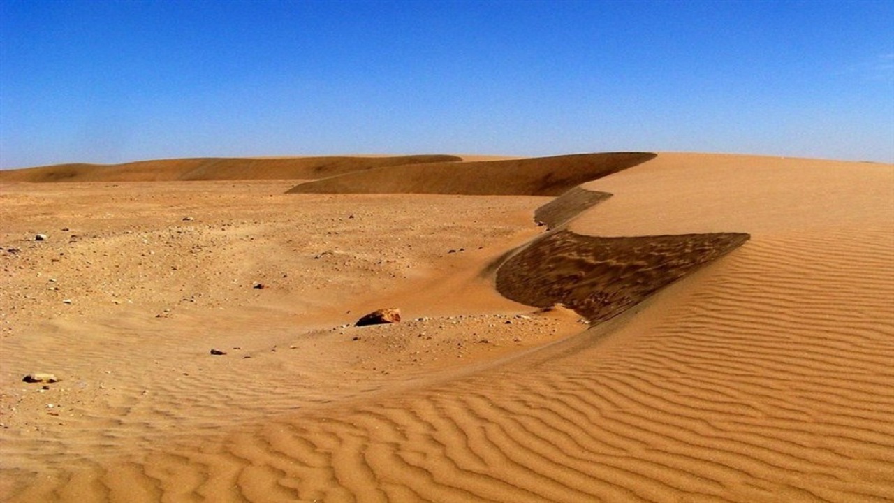 بیابان زدایی ۱۰۰هکتار از مراتع تربت‌حیدریه