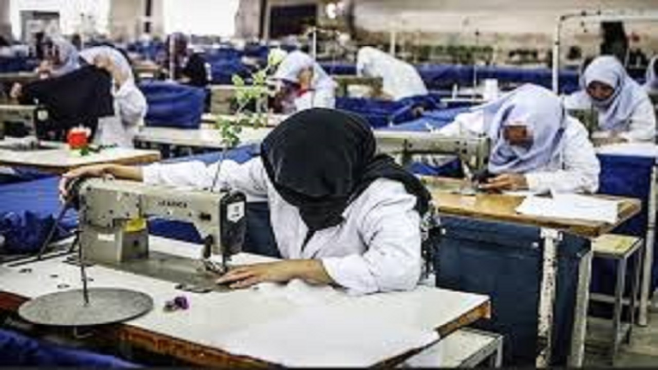برنامه ریزی کمیته امداد برای ایجاد ۱۰ هزار و ۴۵۵ فرصت شغلی