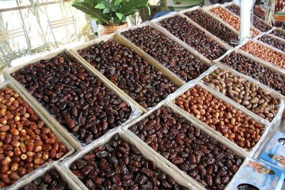 صادرات و برندسازی خرمای هرمزگان دغدغه این روزهای نخلداران