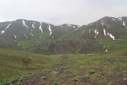 با باز آموزی بلد&zwnj;های محلی به پیشواز مهمانان تابستان می&zwnj;رویم