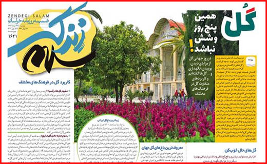 نعل وارونه خودروسازان/ وصله های چهل تکه بر تن شهر/ برنامه های دولت در بازار مسکن