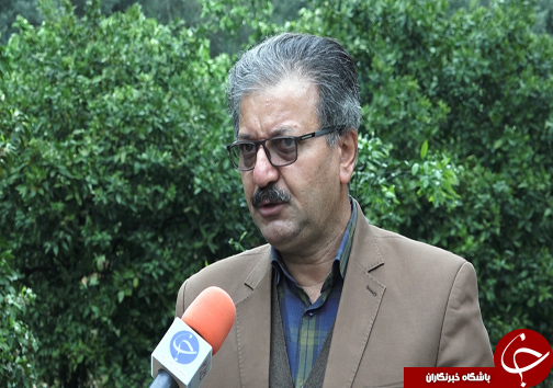 بیمه محصولات کشاورزی مرهمی بر درد کشاورزان + فیلم