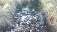 فیلمی از آلودگی زیست محیطی در روستای دهفول