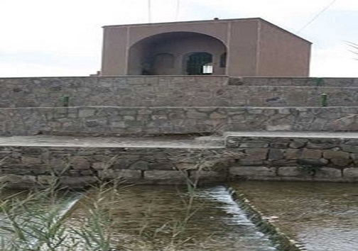 باغ شهر سمنان و شعار روز جهانی محیط زیست