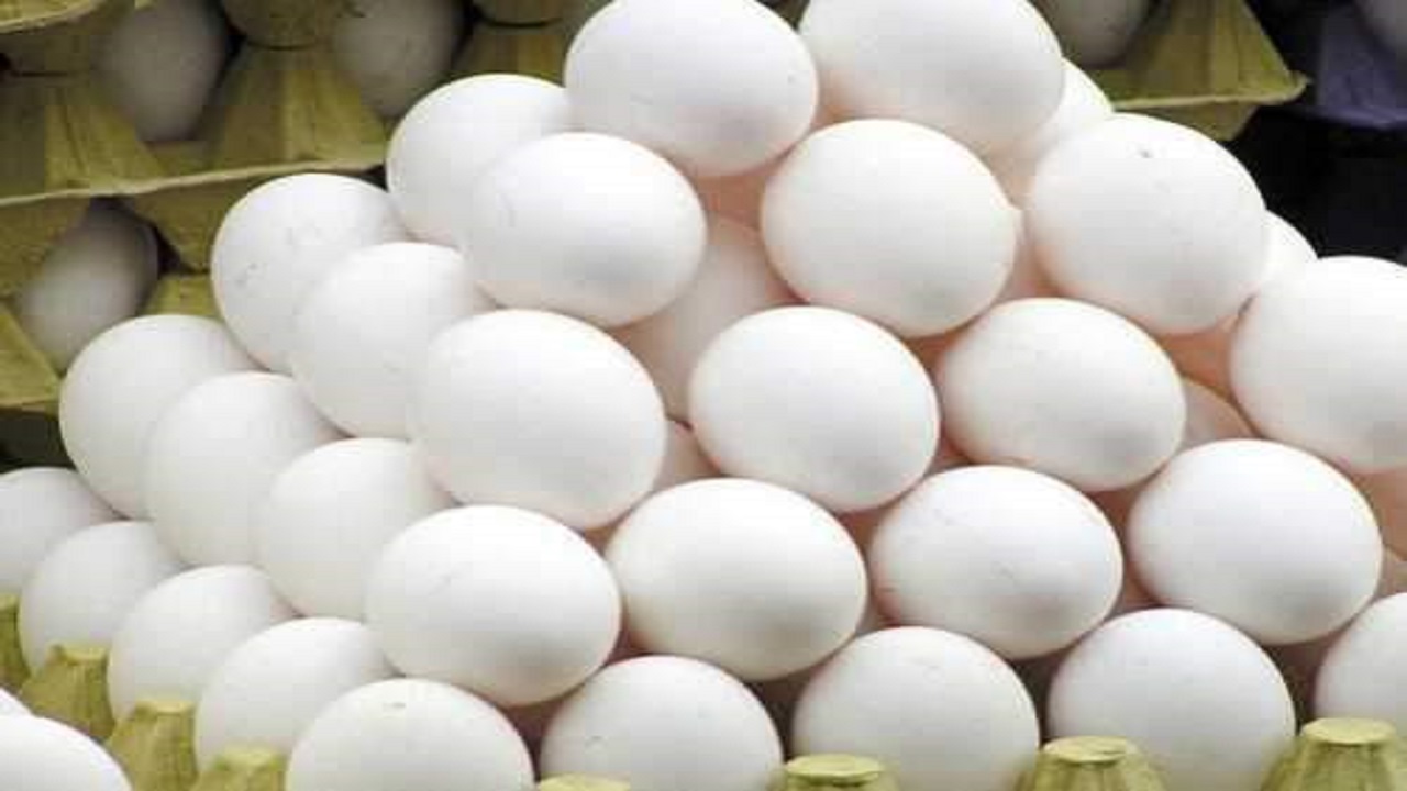 10 هزار تومان؛ قیمت هر کیلوگرم تخم مرغ برای مصرف کننده