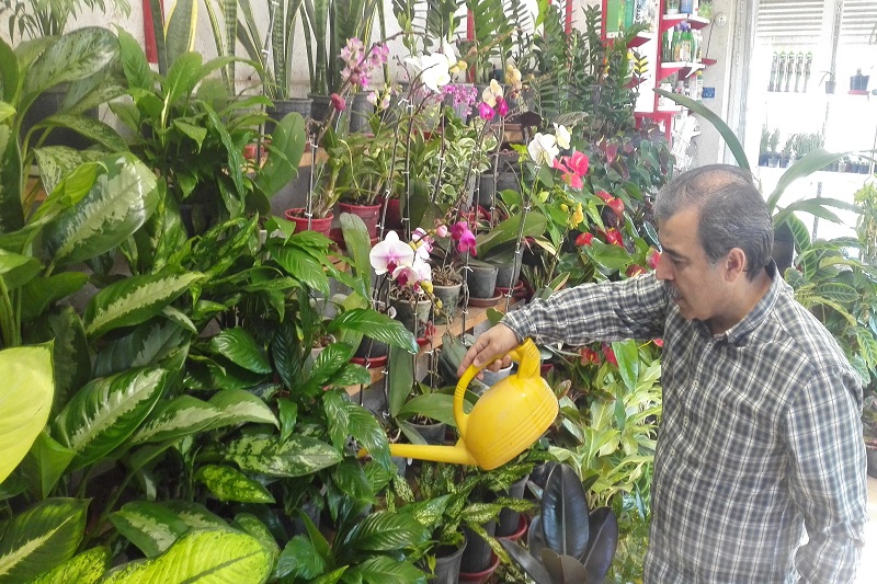چگونه بازنشستگی شادی داشته باشیم؟/ فرمول های جذاب و بکر برای شاد بودن در بازنشستگی