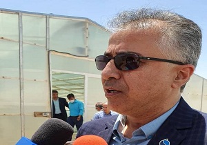 استحصال ۶۰ ضایعات مفید از ماهی تیلاپیا