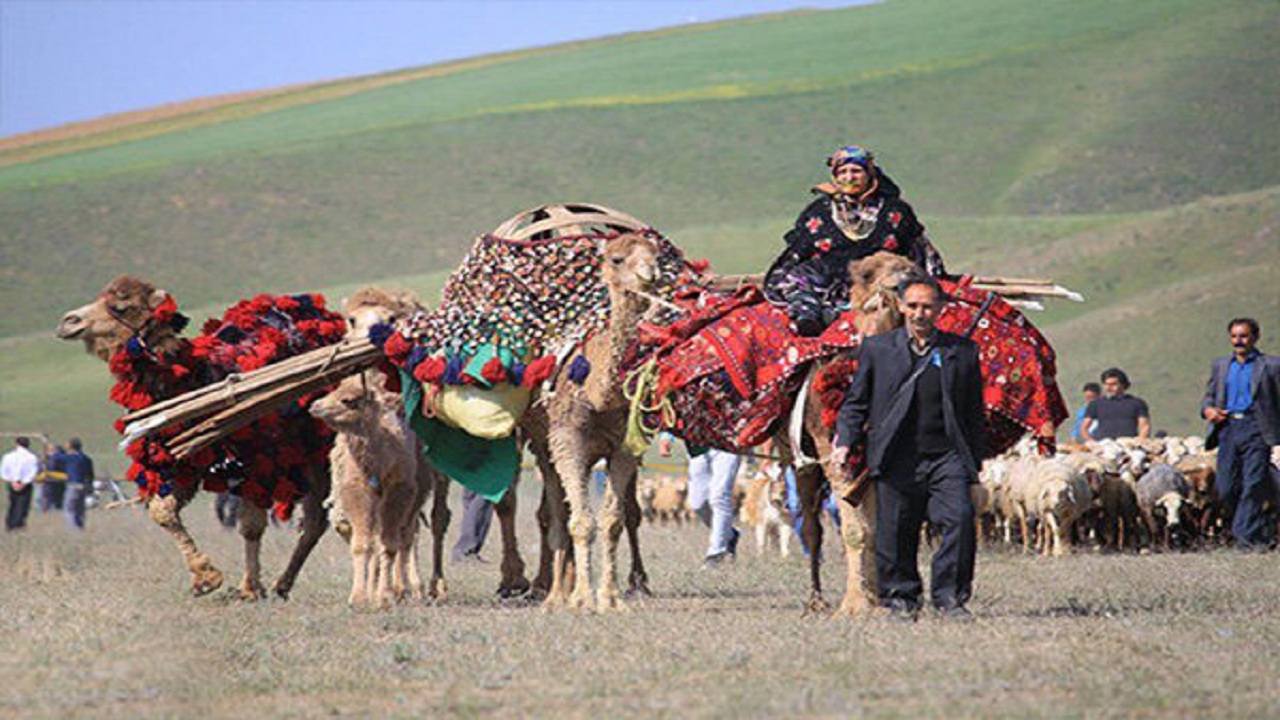 عشایر بوشهر سالانه ۷۰۰ میلیارد تومان محصول تولید می‌کنند