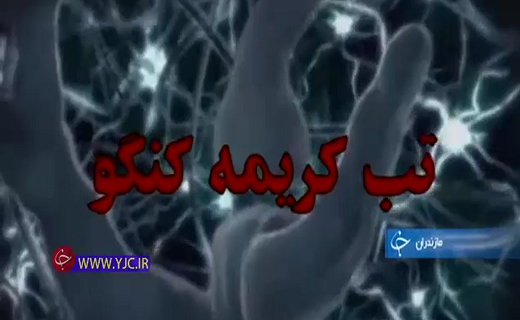 از تب خونریزی دهنده کریمه کنگو  تا خلق تندیس سردار دلها +فیلم