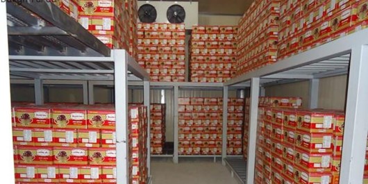 انباشته شدن سیب زمینی و پیاز در سردخانه های جنوب کرمان