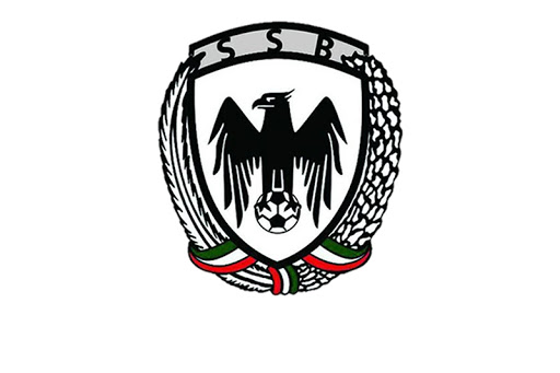 خارجی&zwnj;های شاهین شهرداری در راه ایران