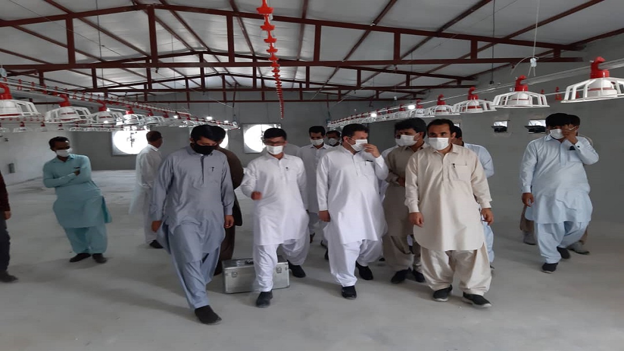 افتتاح یک واحد صنعتی پرورش مرغ گوشتی در شهرستان راسک