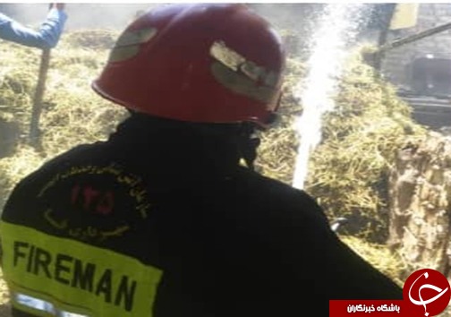 آتشسوزی انبار کاه و یونجه در شهرستان فسا/حریق مهار شد + تصاویر آتشسوزی انبار کاه و یونجه در شهرستان فسا/حریق مهار شد + تصاویر