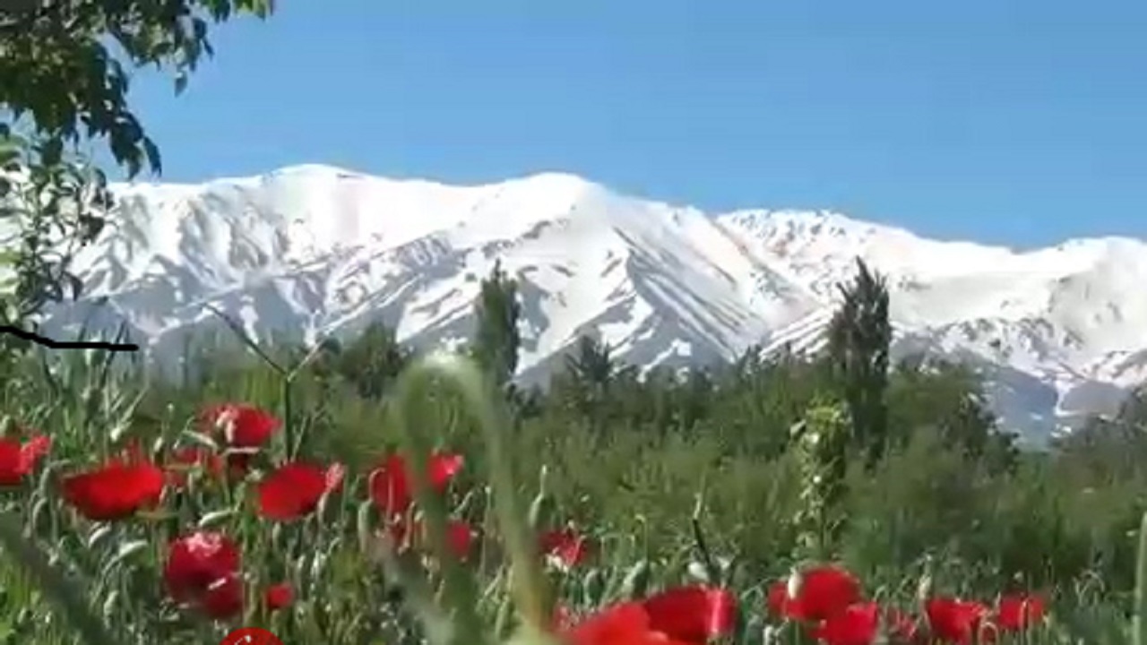 چشم‌اندازی از طبیعت بهاری در « وراینه» + فیلم