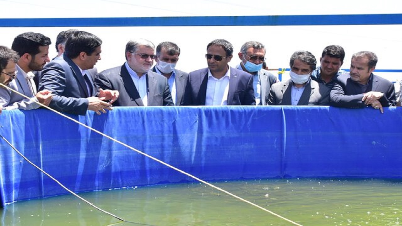 افتتاح نخستین مزرعه حد واسط پرورش ماهی خراسان جنوبی