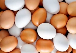 تولید ۴هزار تُن تخم مرغ در خراسان جنوبی