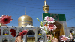 میلاد امام رضا(ع)